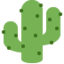 🌵 🌵