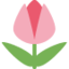 :tulip: 🌷