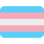:transgender_flag: 🏳️⚧️