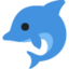 🐬 🐬