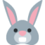 🐰