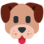 🐶 🐶