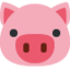 🐷 🐷