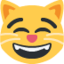 :smile_cat: 😸