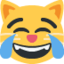 😹 😹