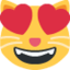 😻 😻