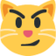 :smirk_cat: 😼