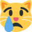 😿 😿