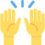 🙌 🙌