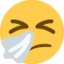 :sneezing_face: 🤧