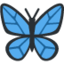 🦋 🦋