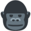 🦍 🦍