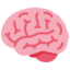 🧠 🧠