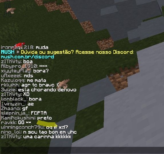 report.jpg