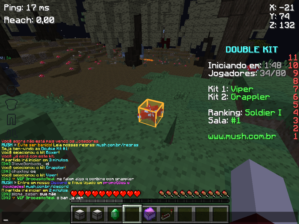SalwyrrLauncher 03-11-2021 18.52.30.png