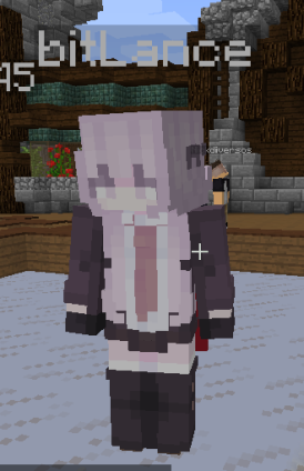 skinminecraft1.png