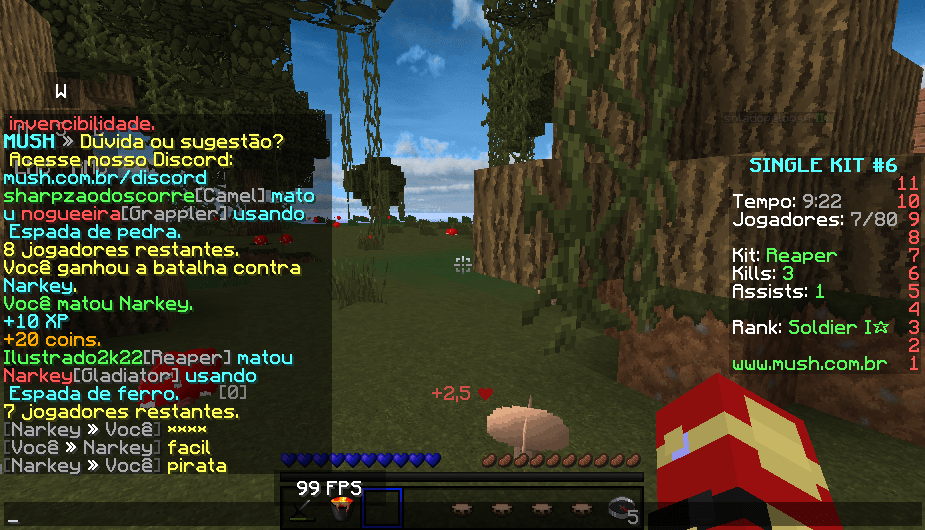 pirata.png
