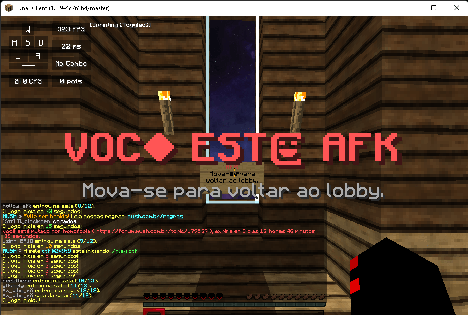 Lunar Client (1.8.9-4c763b4_master) 11_11_2023 23_32_23.png