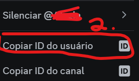 2 passo no discord .png