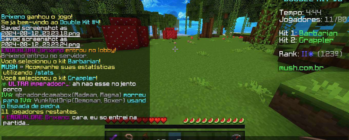 7bd2130f-044c-427c-910d-0d3d835ded76-2024-08-12_23.24.59.png