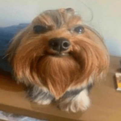 8a4e0ed9-29af-47c1-b07c-046966c9d646-image.png