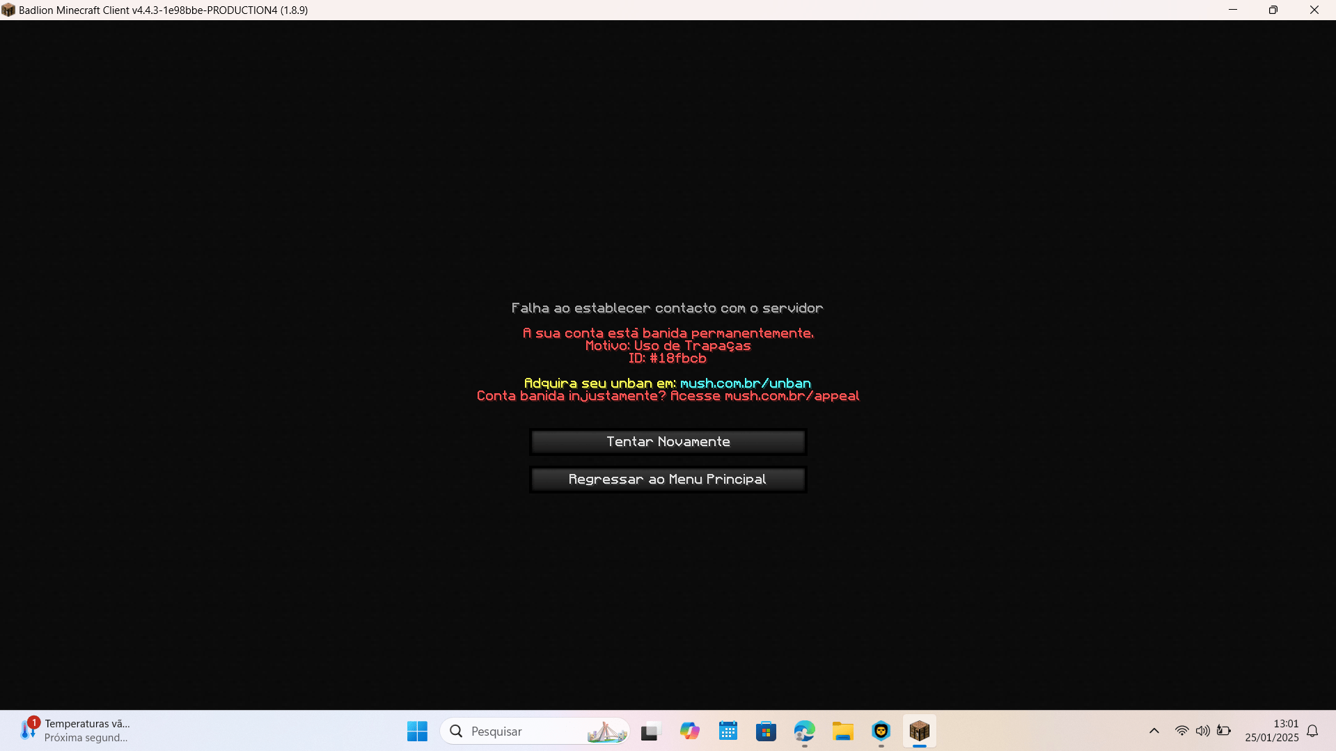 Captura de tela 2025-01-25 130140.png