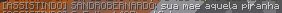 131328e9-2e38-44c1-a54e-08be4588bbca-image.png