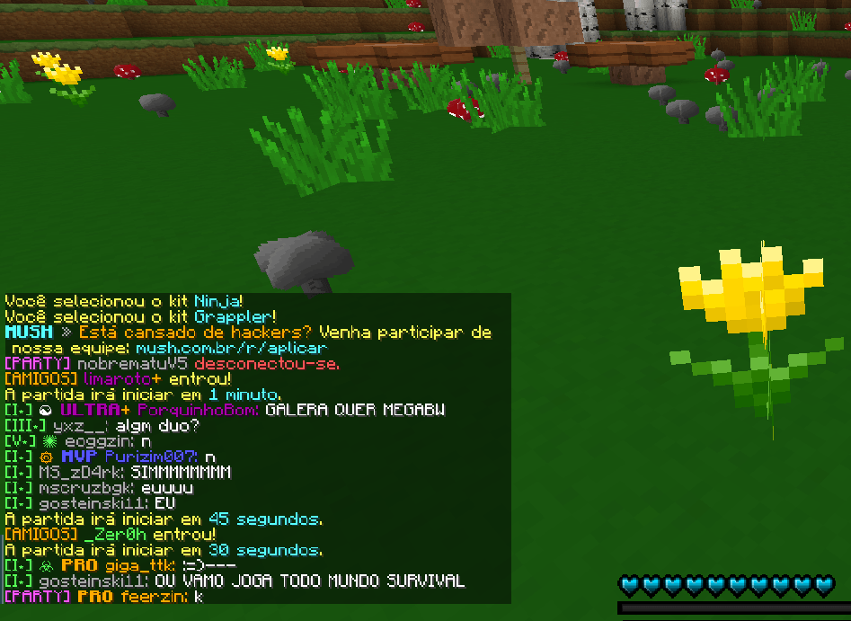 cara hez pika.png