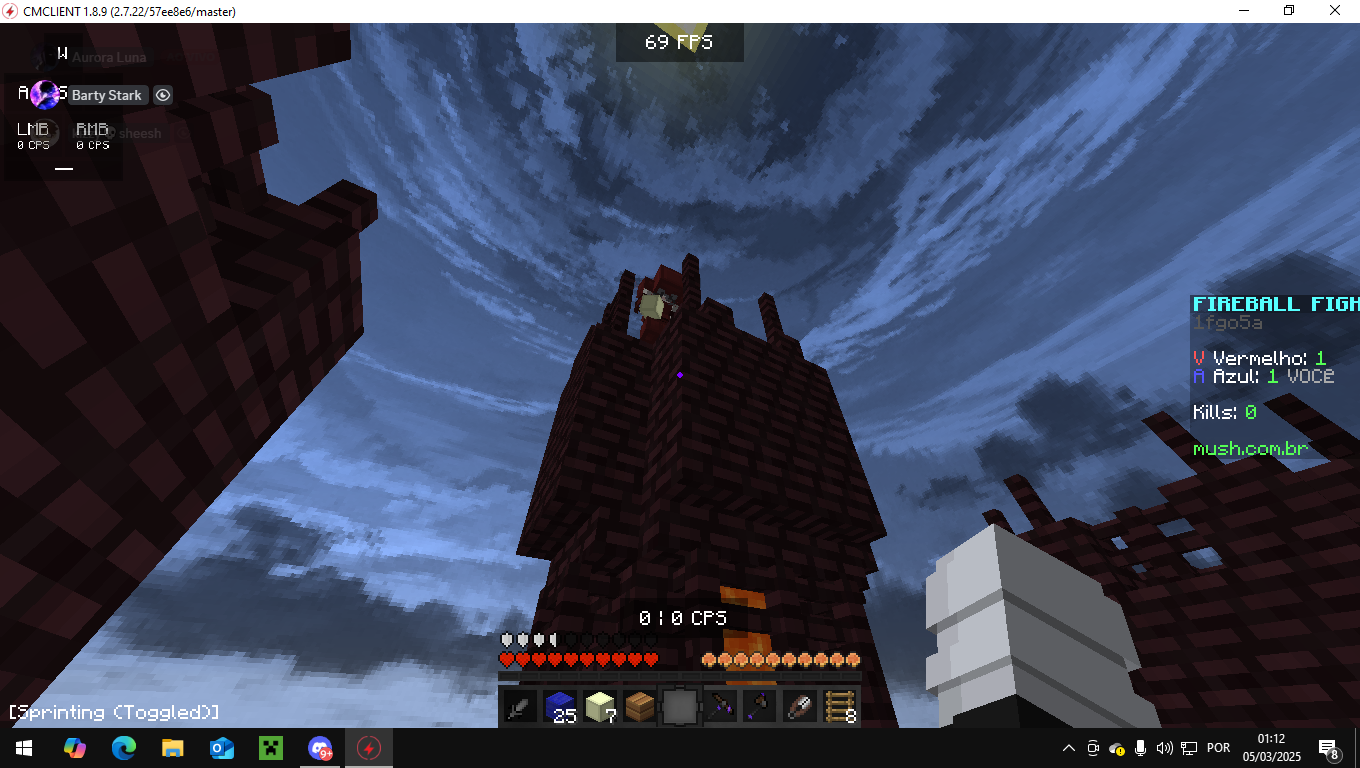 Captura de Tela (42).png
