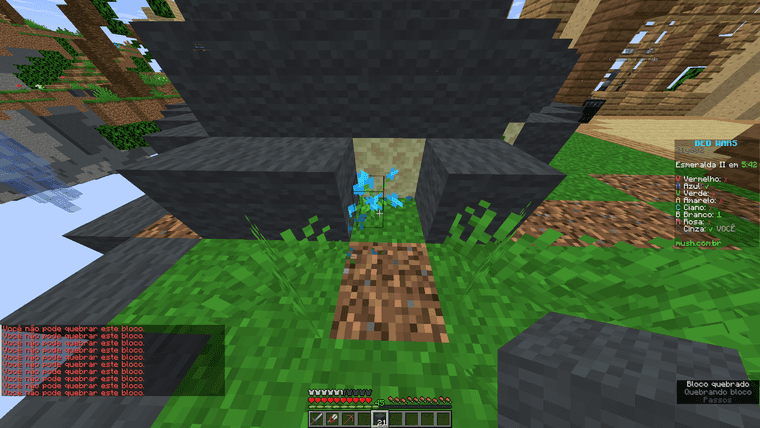 flor.png