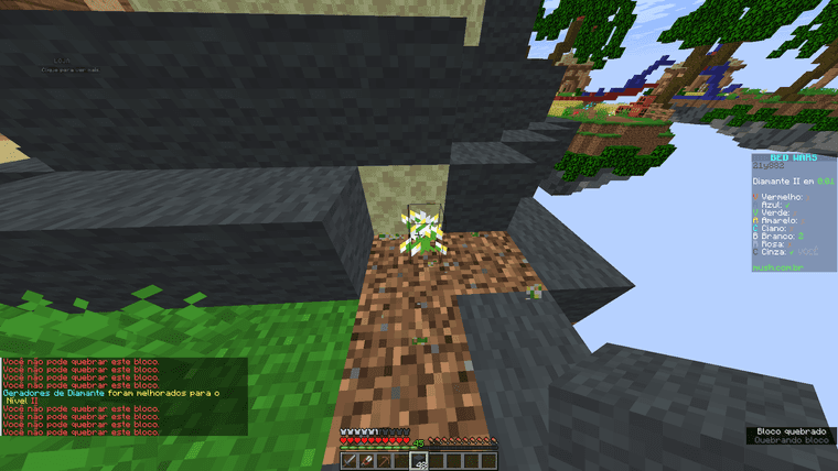 outra flor.png