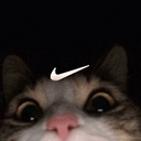Whatzap