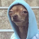borelzada