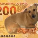 Davizin 0
