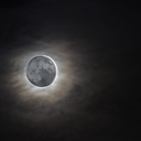 __MoonZ