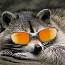 Mini Guaxinin