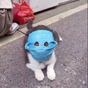 gokuzinnxdxd