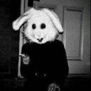 Tlbunny