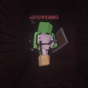 WININHO003