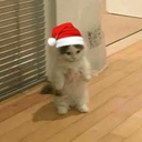 UmScutty