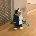 Void cat