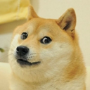 dogdememe