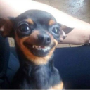 zStrupeey_