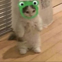 SrQuixrk