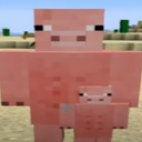 Silver_Pig