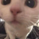 krazxz