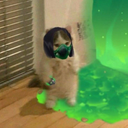 Sanch3z