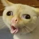 HENRITO