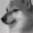 Doguiiin