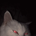 nukzzts